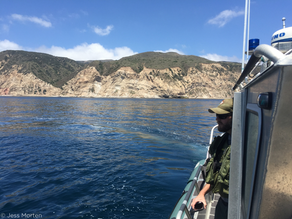 Streamlining Data Collection on California’s Coastal Waters