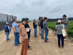 Exploring Plasticulture - Pollution Prevention Together