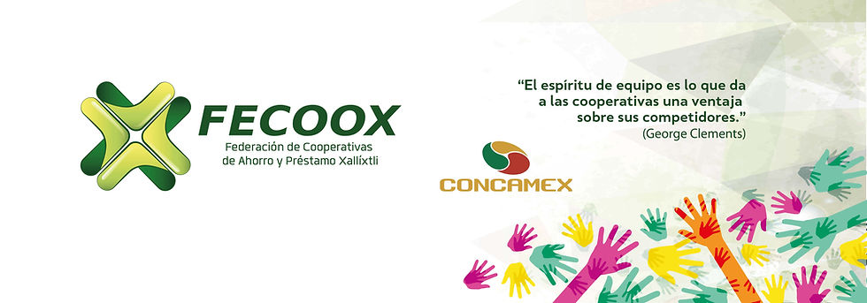 Fecoox