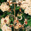Thumbnail: Florence Floral Earrings