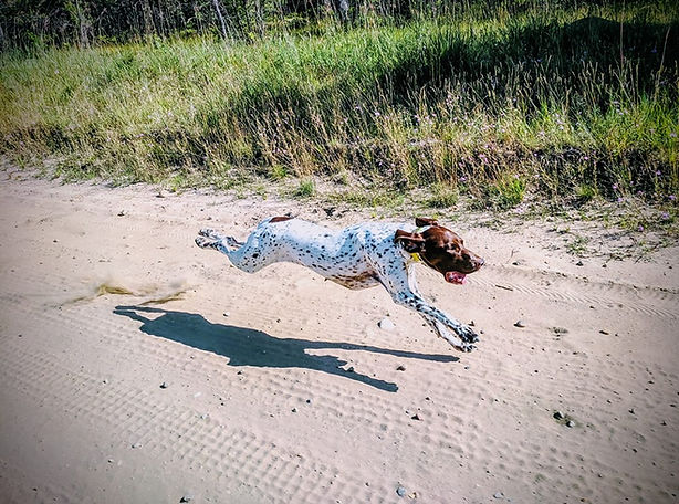 68598646_10156070242251853_8479225247235