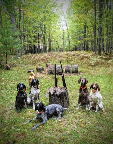 Hunting 2021