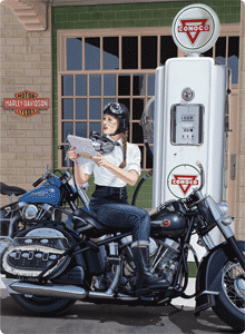 H-D Sturgis Tin Sign