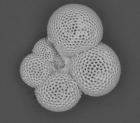 截圖 2025-09-09 下午3.10_edited.jpg