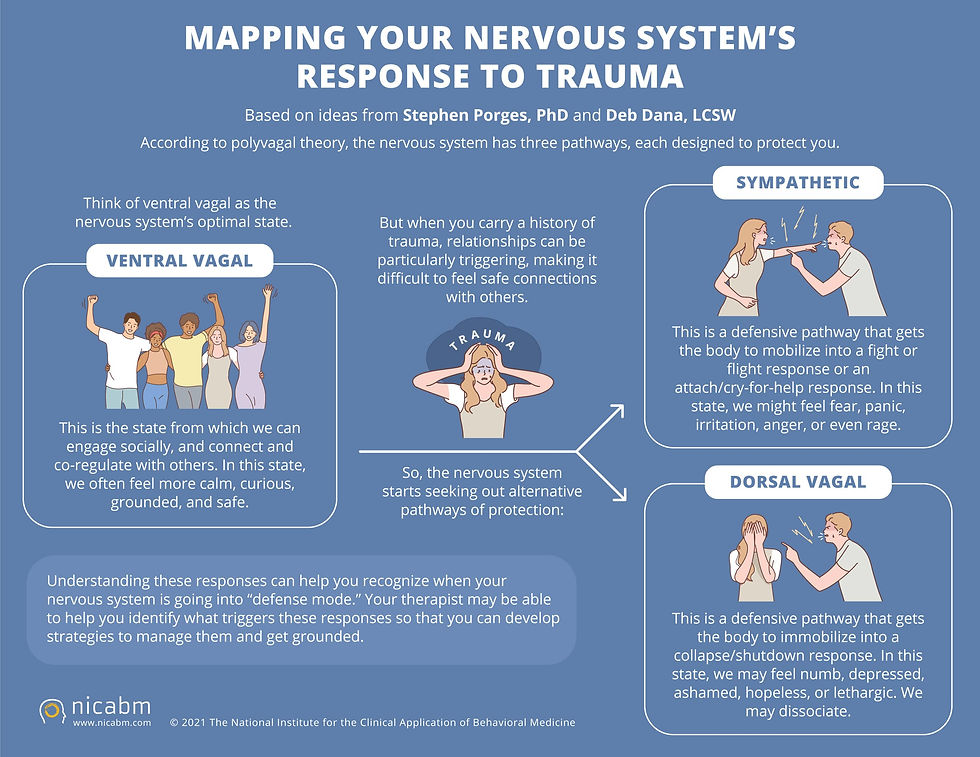 Infographic describing the polyvagal theory and how it explains the nervous systems response to trauma.
