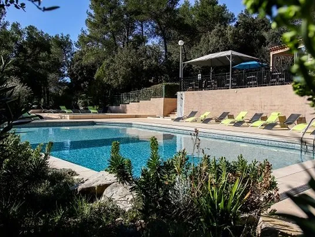 Les arbousiers dans le Var