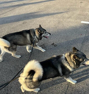 HUNTER & LOGAN FL.jpg