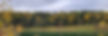 20241002_102828_edited.jpg