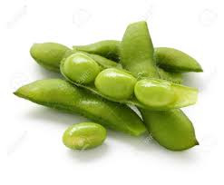 Some Plant Estrogens may be Beneficial