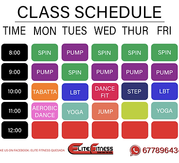 Elite Fitness, Quesada_2.png