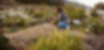 Tezza-1058_edited.jpg