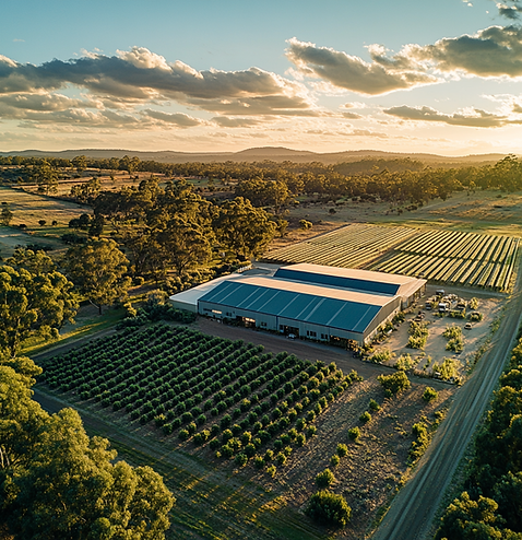 u1243242486_cbd_farm_open_sky_drone_shot_--style_raw_--styliz_c73ce95a-c1e2-40ad-87b1-34d7