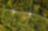 green transtition