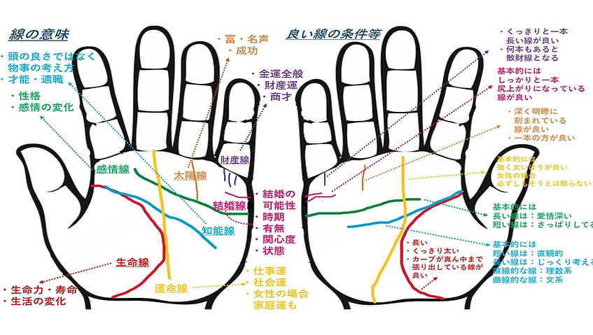 手相の基本線の説明
