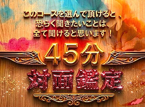 45分対面鑑定