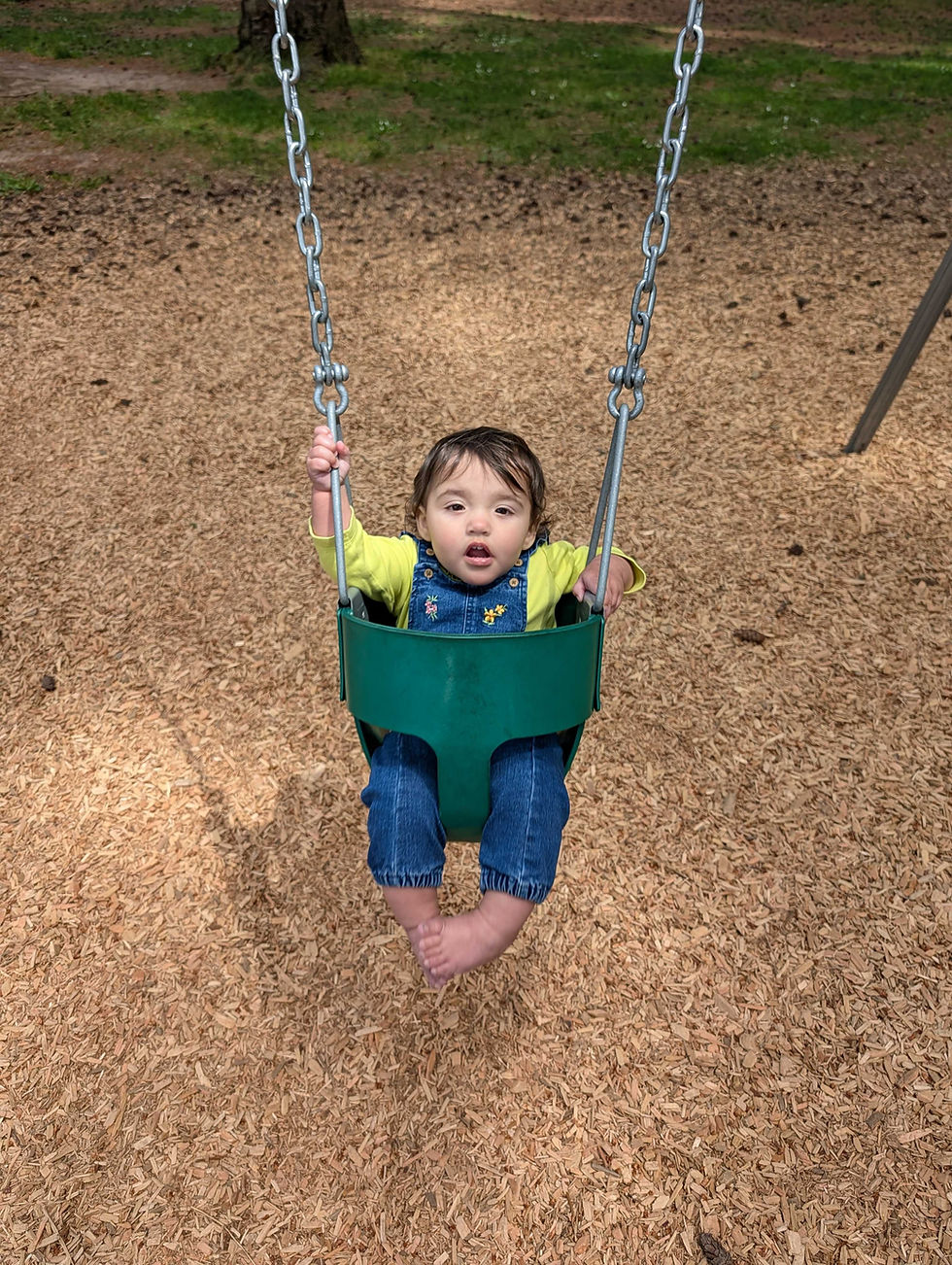 Paying Your Kids Through an LLC or S Corporation: Roth IRA Benefits and Payroll Tax Planning