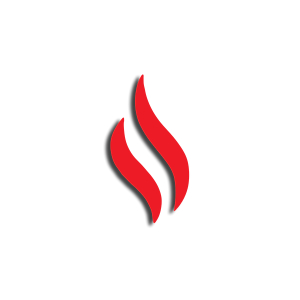 Lit Faith Foundation Logo w-Shadow.png