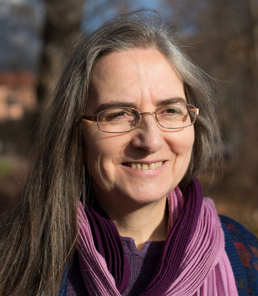 Wintersonne sunny winter