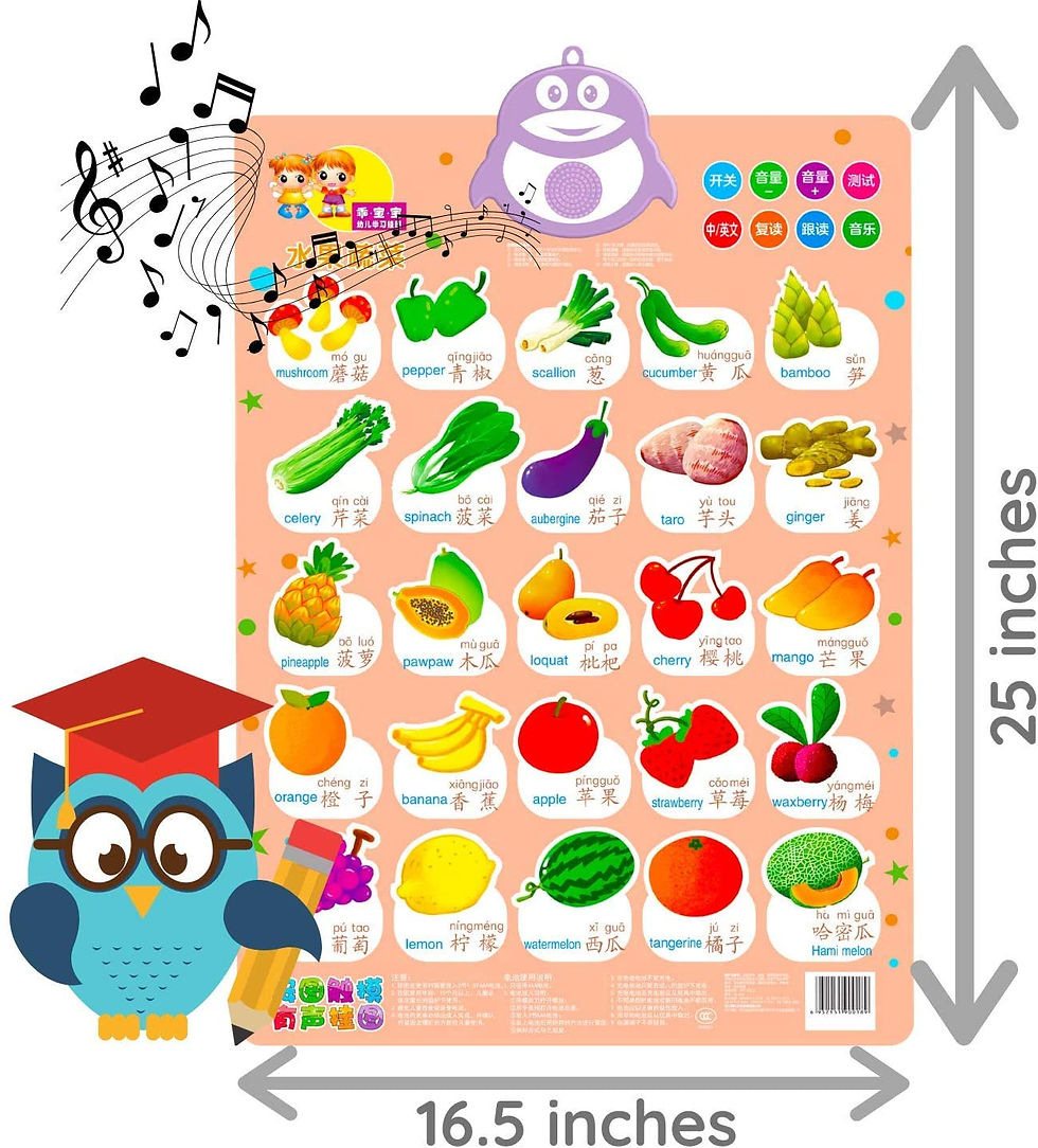 Miniatura: Interactive Bilingual (Chinese-English) Fruits & Veggies Chart