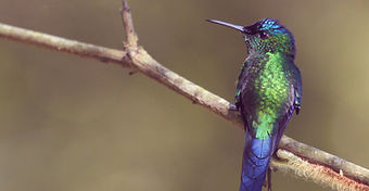 Publication n°2 - LinkedIn