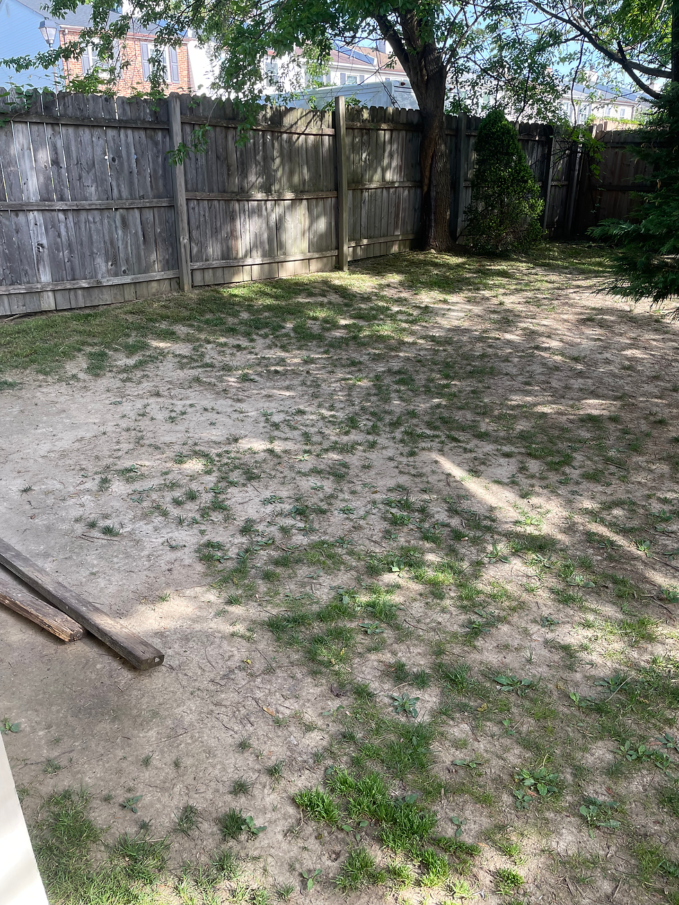 Before sod installation