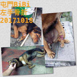 23559493_1969485683078151_7832560524528420285_n