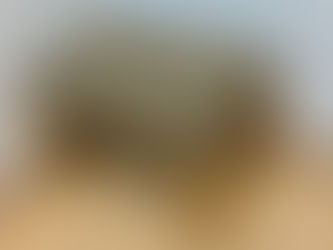 無印良品　リビングでもダイニングでも使えるベンチ