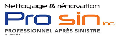Prosin nouveau logo.jpg