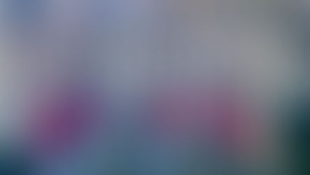 2025-11-23青年自發行動的力量 邁阿密青年團洗車募款為未來備行