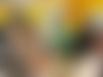 2023-03-17-「聖派翠克節」邁阿密佛光人把歡樂帶進養老院