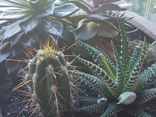 Little Green Friends