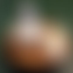 ハーブボールについて