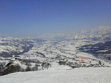 スタッフ紹介(三澤)