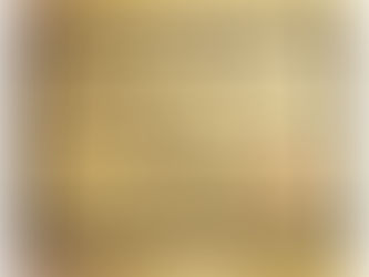 スタッフ紹介(川島)