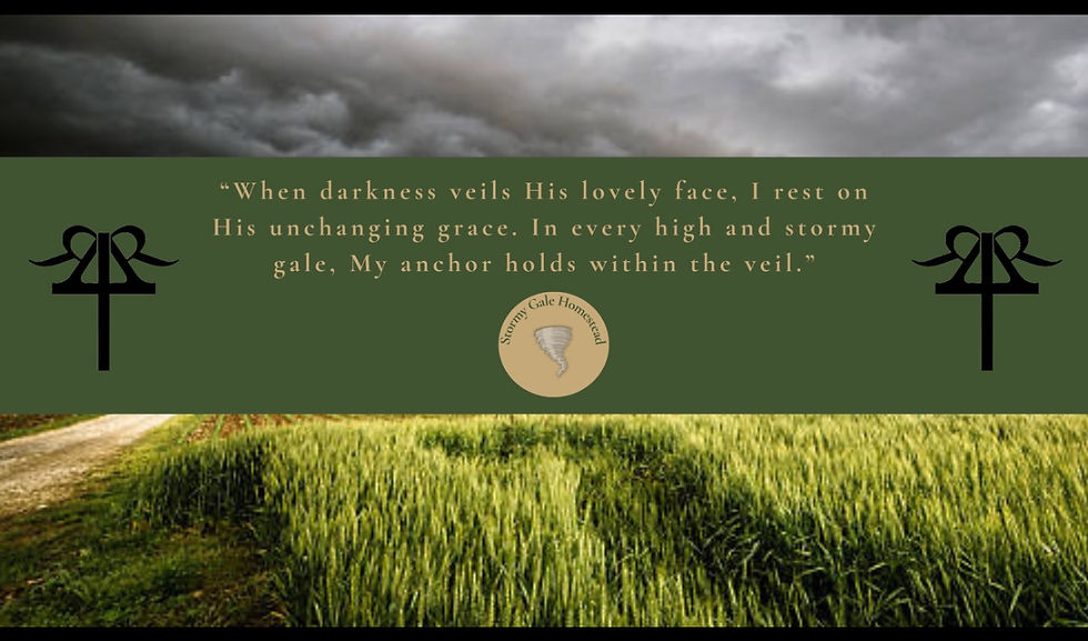 48B9BDDE-1271-461F-BB0B-1F90F354F0E4_L0_001-1_30_2025, 8_30_41 AM.jpg