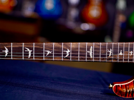 Why PRS Guitars Have Bird Fret Markers
