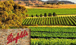 Penfolds-Mockup-2_edited_edited.jpg