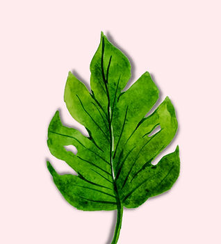 Untitled design (53)_edited.jpg