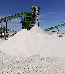 WhatsApp Image 2024-01-04 at 16.42.10_e22af9b2.jpg