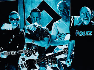 The Voltz