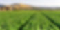 optimized-shutterstock_136704107__1200x800___v1222x580 (1).jpg