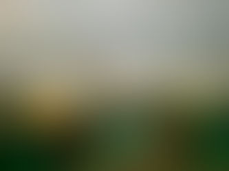 Alcuni attivisti tentano di forzare il blocco navale israeliano