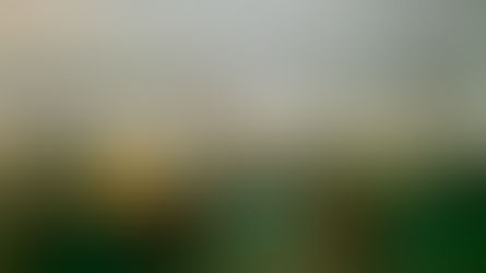 Alcuni attivisti tentano di forzare il blocco navale israeliano