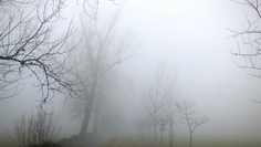 NON RIESCO A ESSERE DI PARTE