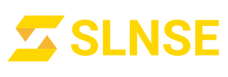 SLNSE Strategic Leadership and Network Solution Enterprises