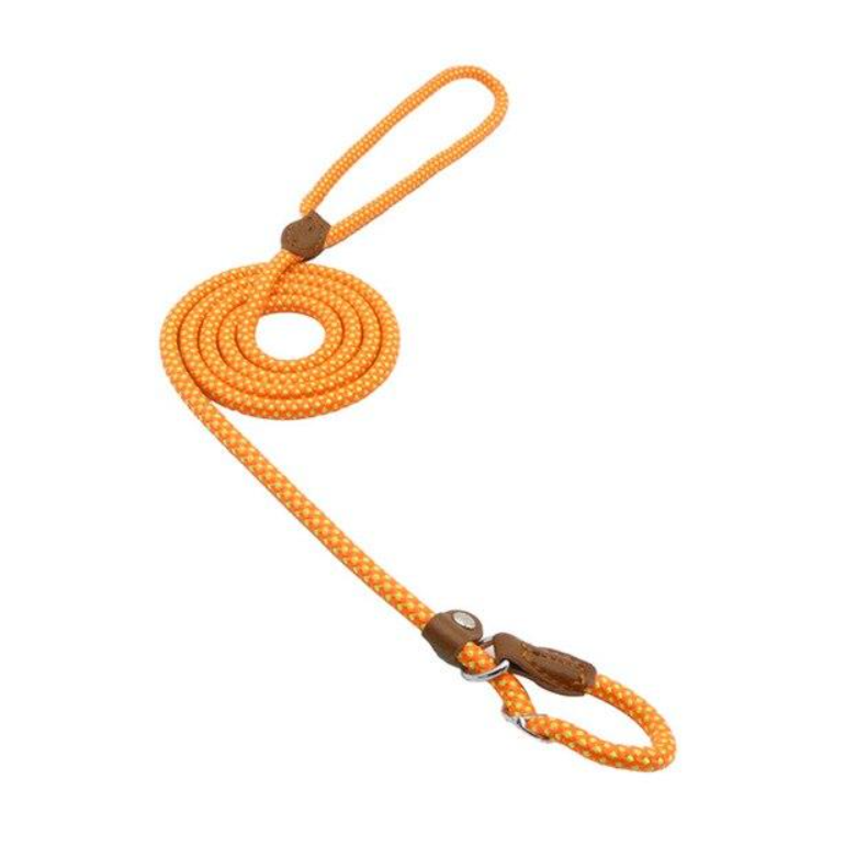 Miniatura: Nylon Pup Set