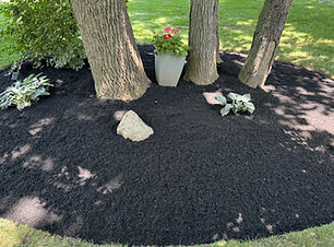 flower bed