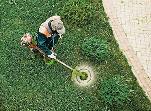 weed trimming