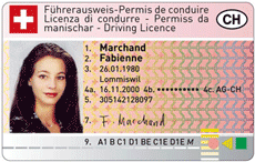 driving licence.gif