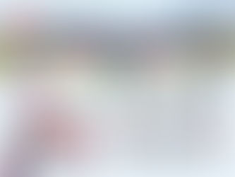 Polish flag with seasonal work visa 2026 banner showing 9-month permit, comparison with old 6-month limit, and key industry icons.